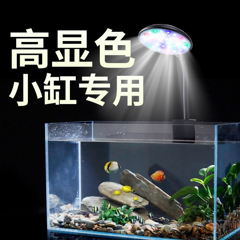 鱼缸灯小型led