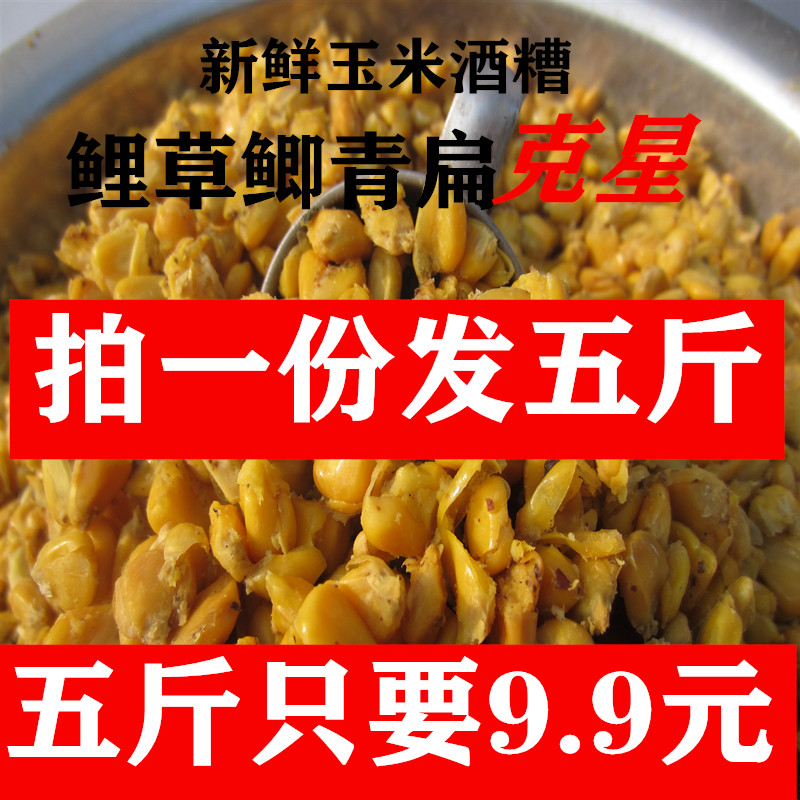 鱼饵料鲤鱼