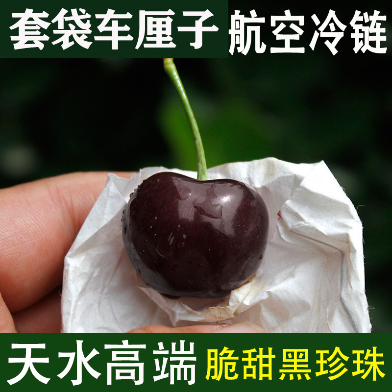 车厘子水果新鲜