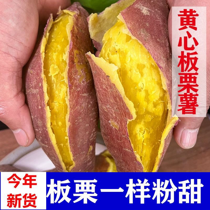 板栗红薯粉糯正宗