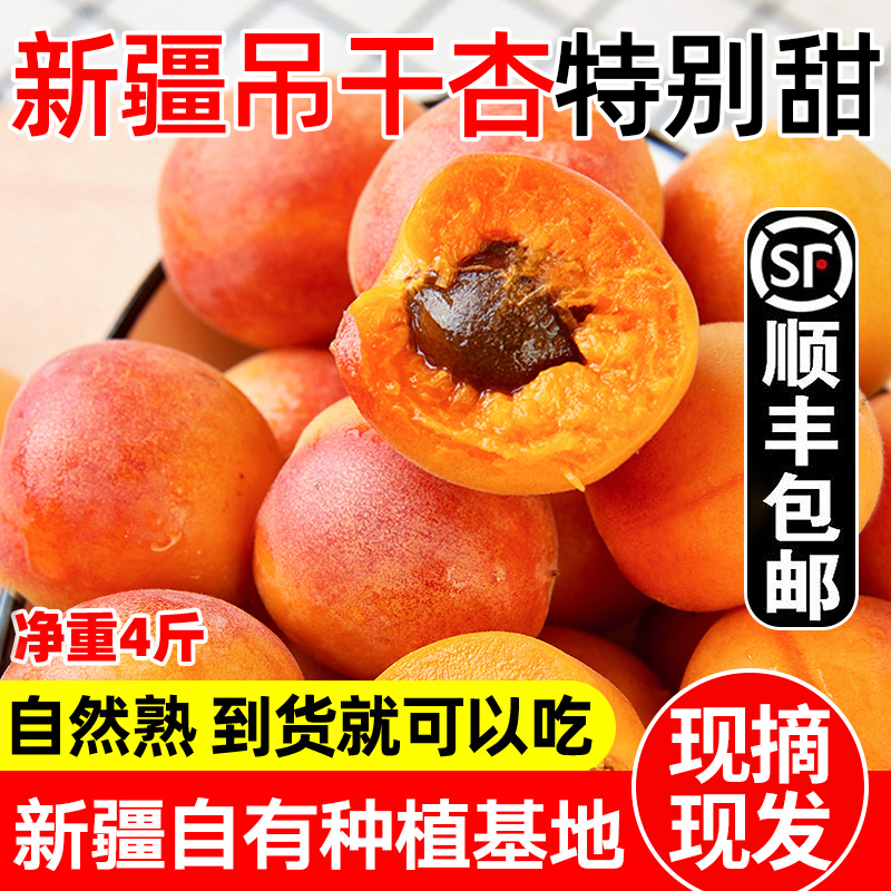 新鲜水果杏