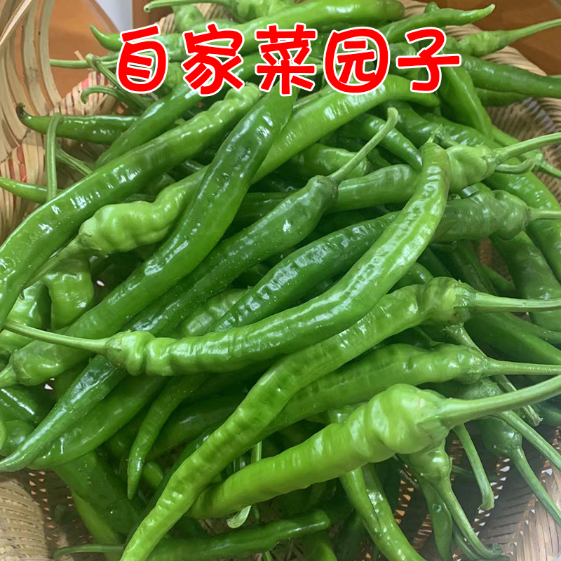 蔬菜新鲜