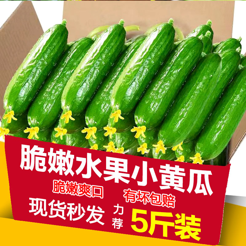 蔬菜新鲜包邮农家菜