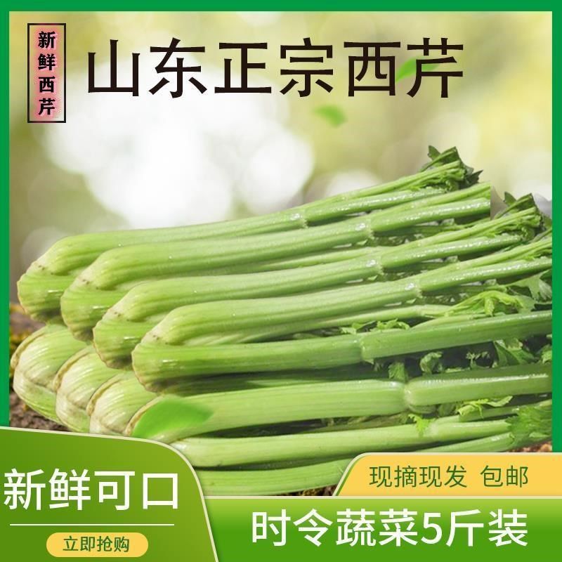 蔬菜新鲜顺丰包邮