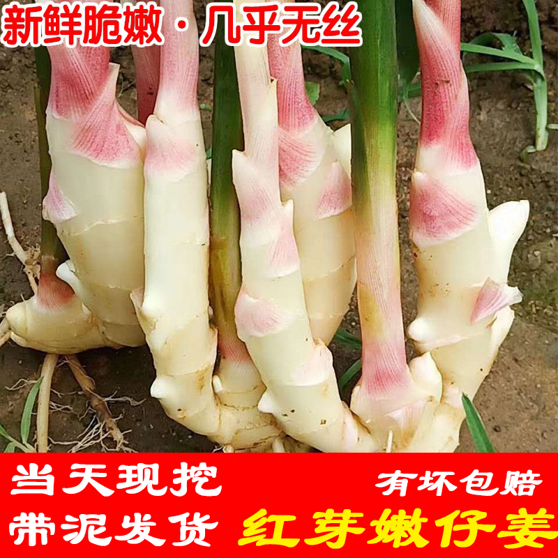 当季新鲜时令蔬菜