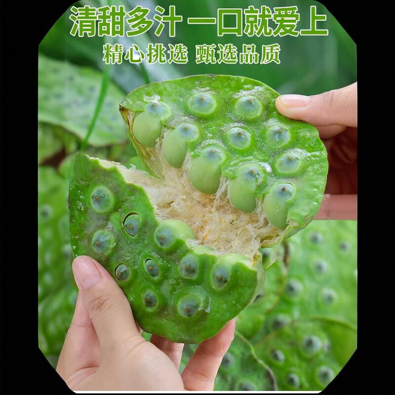 莲子脆