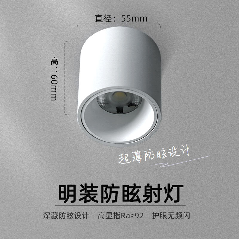 led客厅吸顶灯 36w