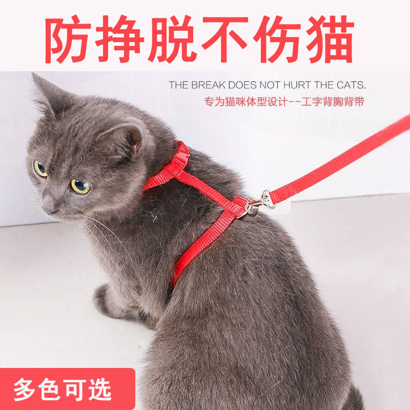 牵引绳猫绳子