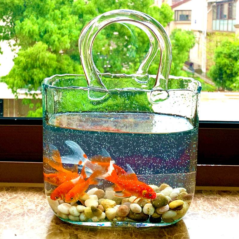 包包花瓶 客厅桌面小型鱼缸