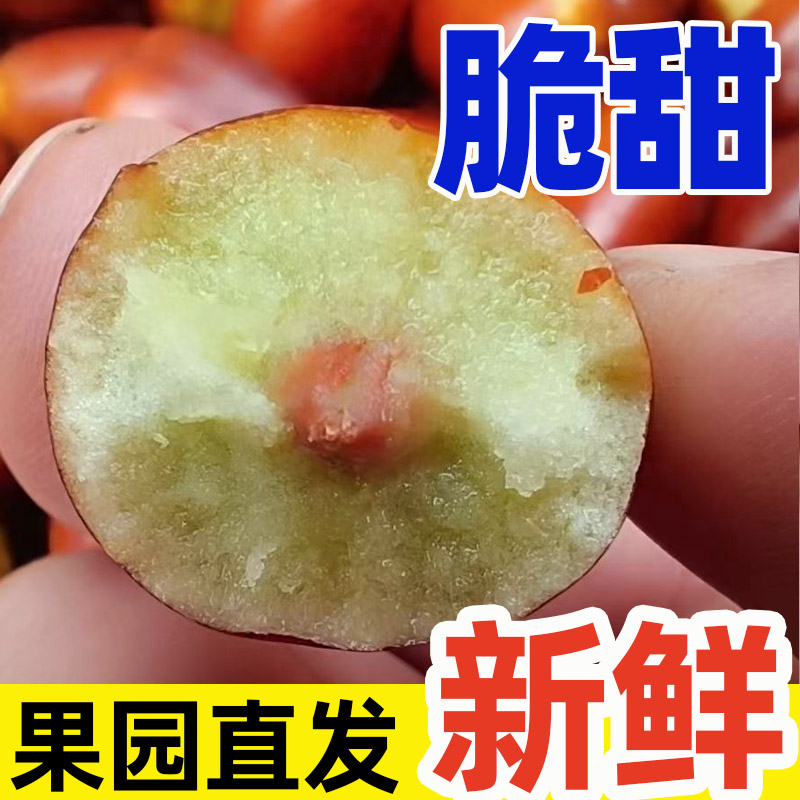 枣子新鲜宁夏