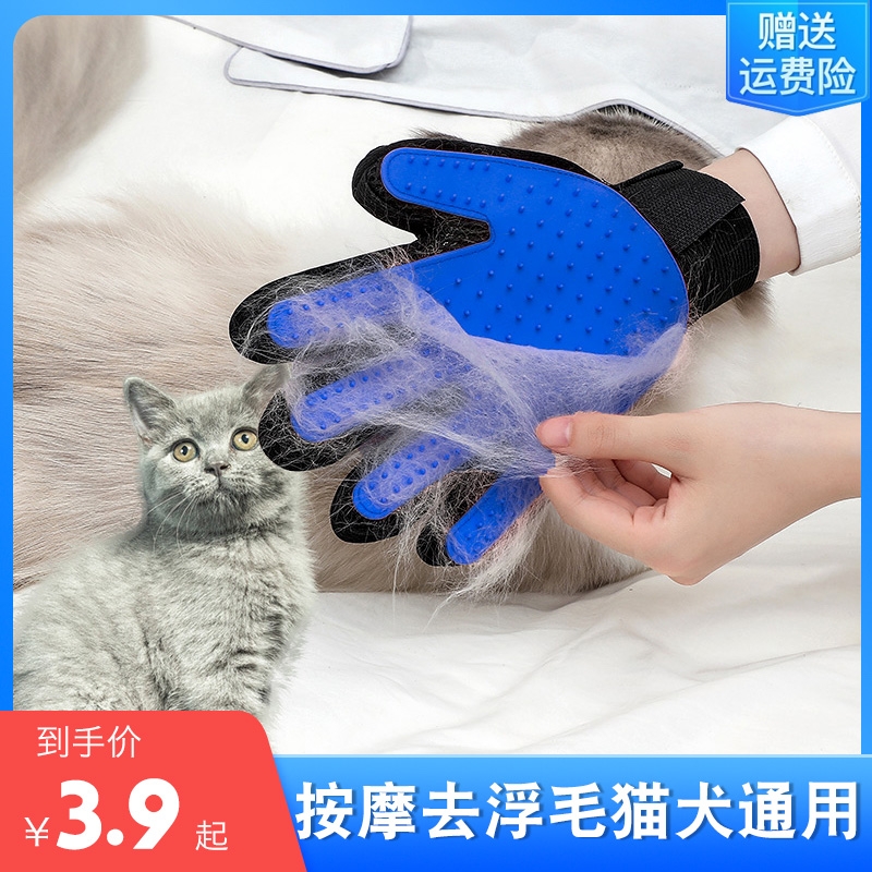 宠物梳子猫