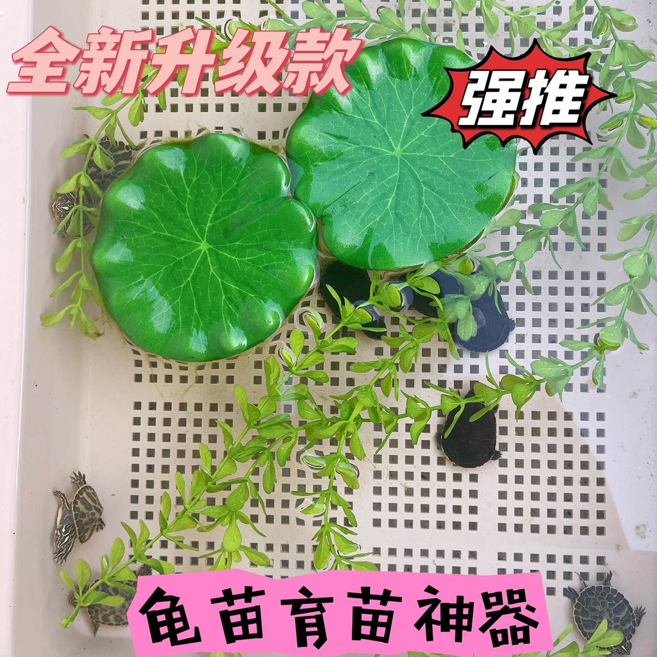 鱼缸造景水草