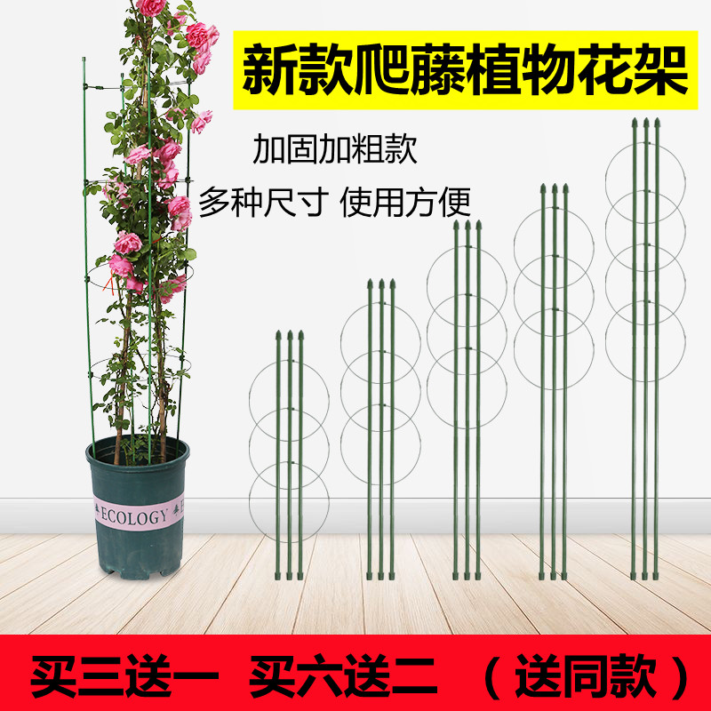 花卉 攀爬架