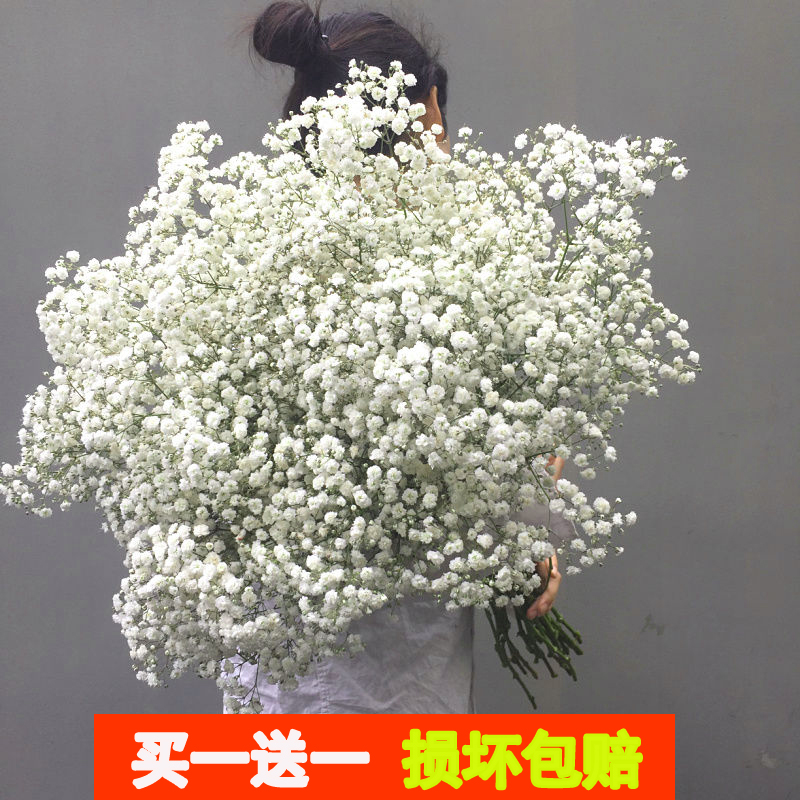 干花摆件客厅