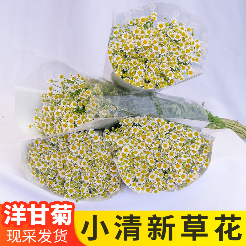 小花束鲜花