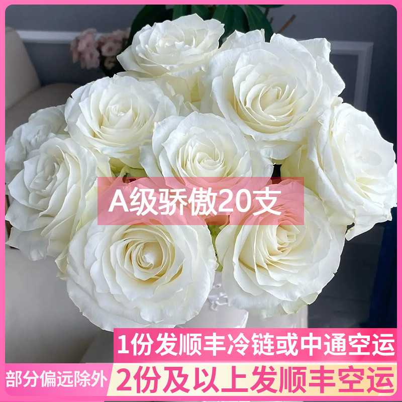 白玫瑰鲜花