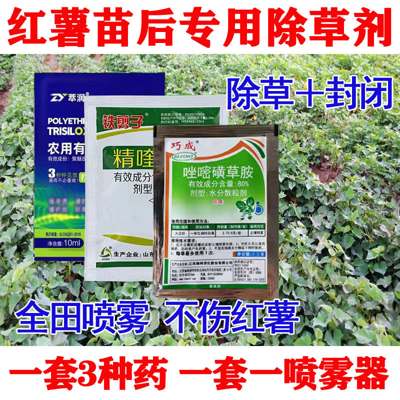 玉米苗后除草专用剂