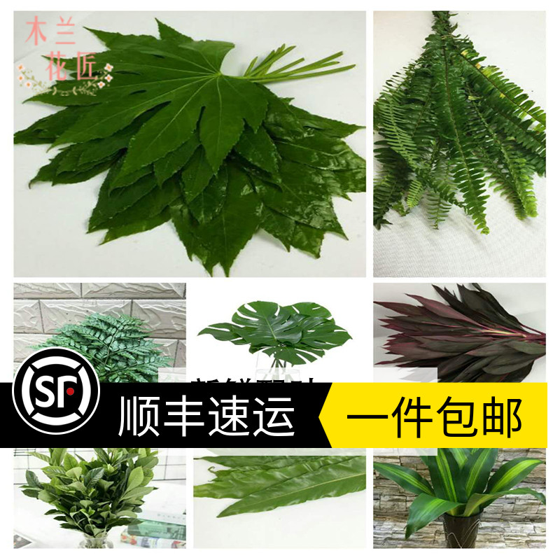 栀子花伞