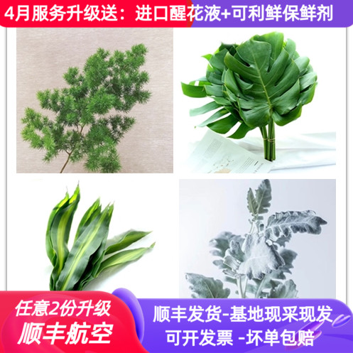 栀子花 鲜花