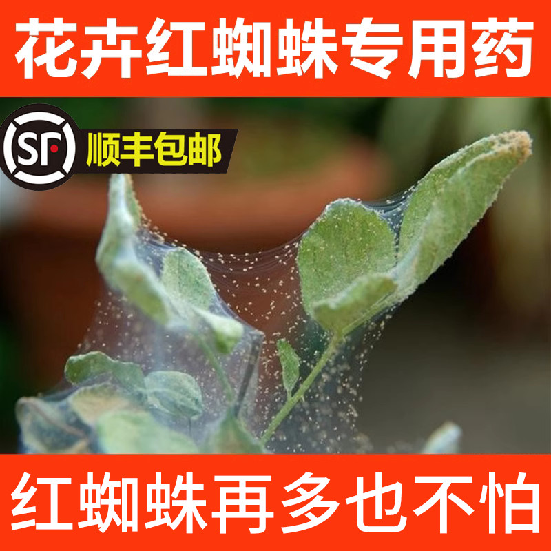 植物杀虫药