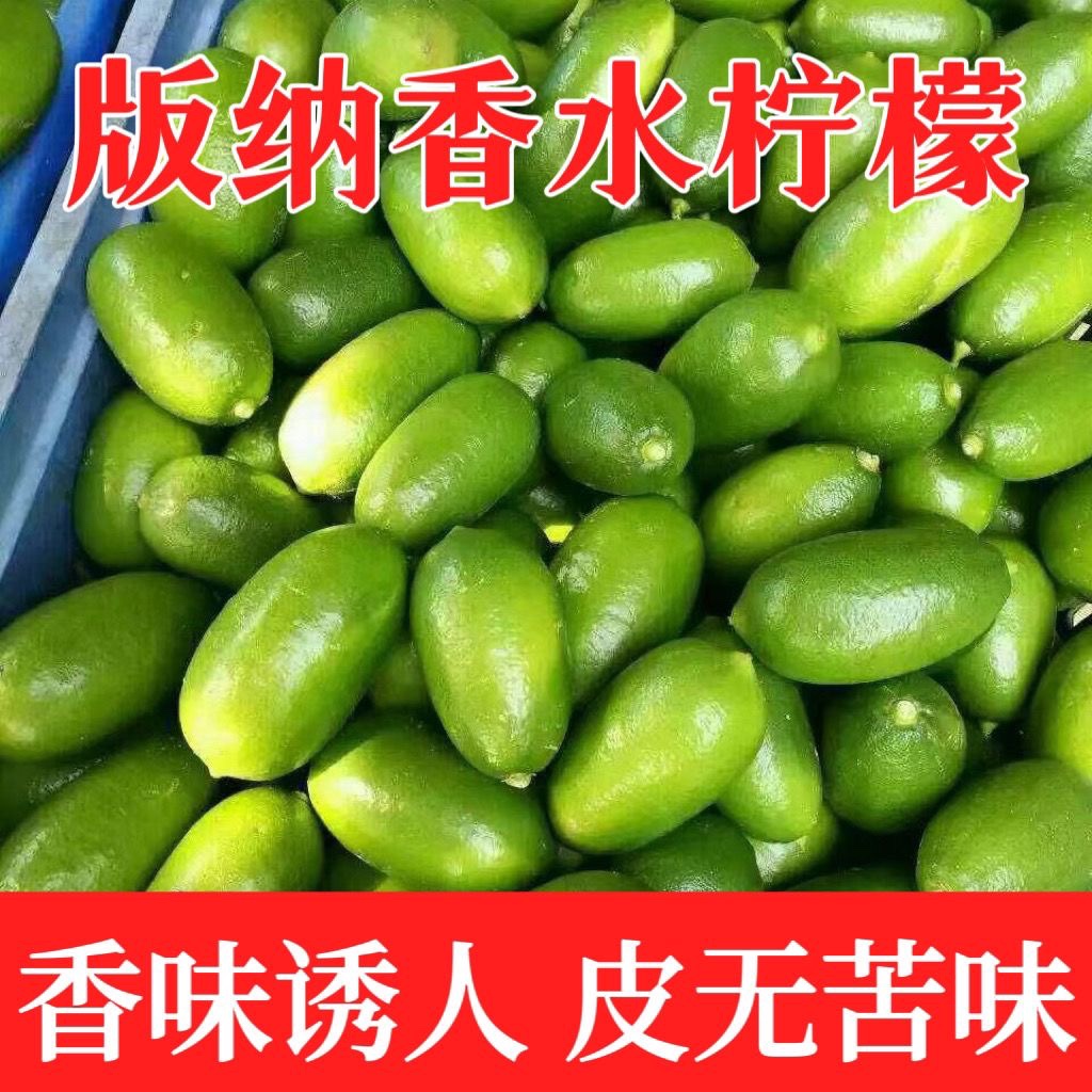 云南青柠檬新鲜