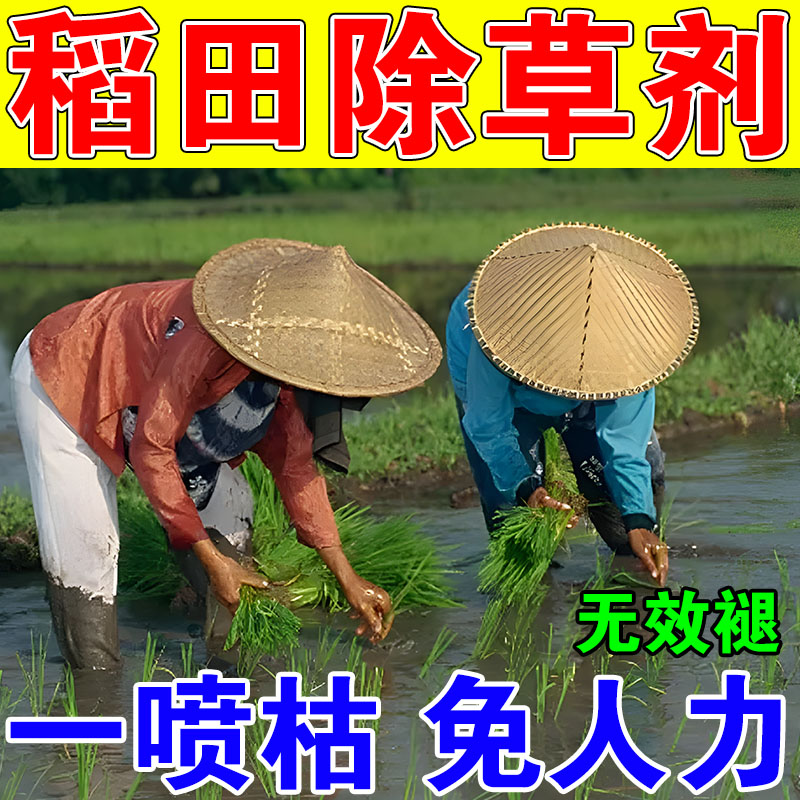 环泰铜除草烂根剂一扫光三年不长草