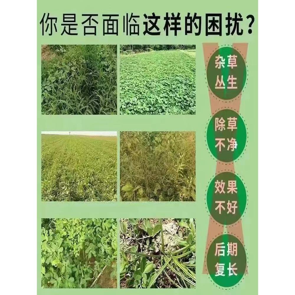 环泰铜除草烂根剂一扫光三年不长草