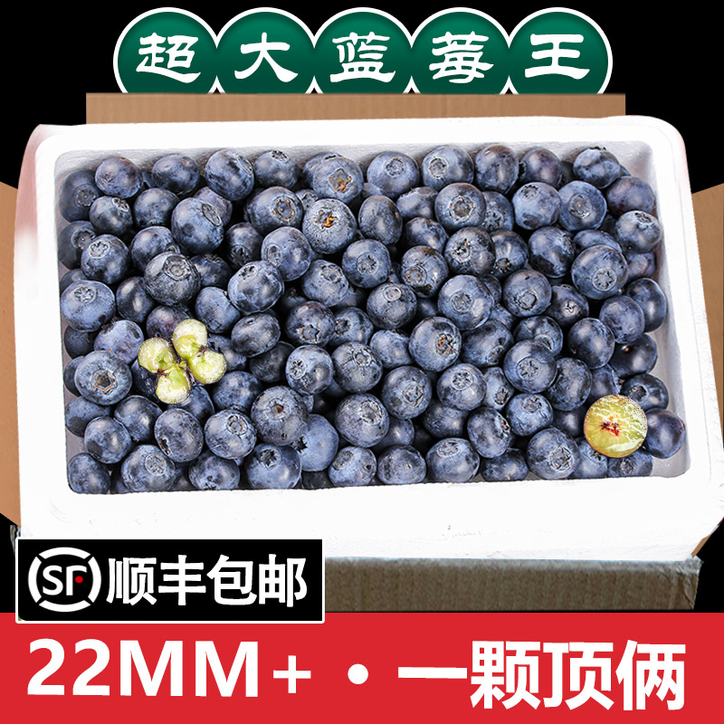蓝莓鲜果大果