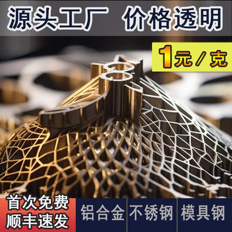 3d打印服务代打模型定制金属