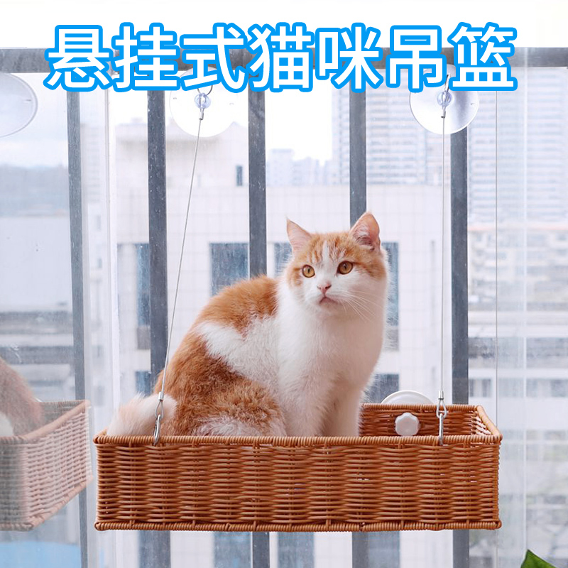 猫吊床床边