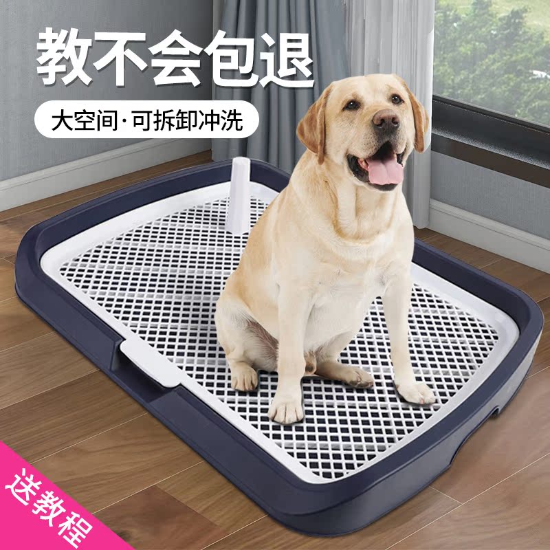 宠物狗小型犬