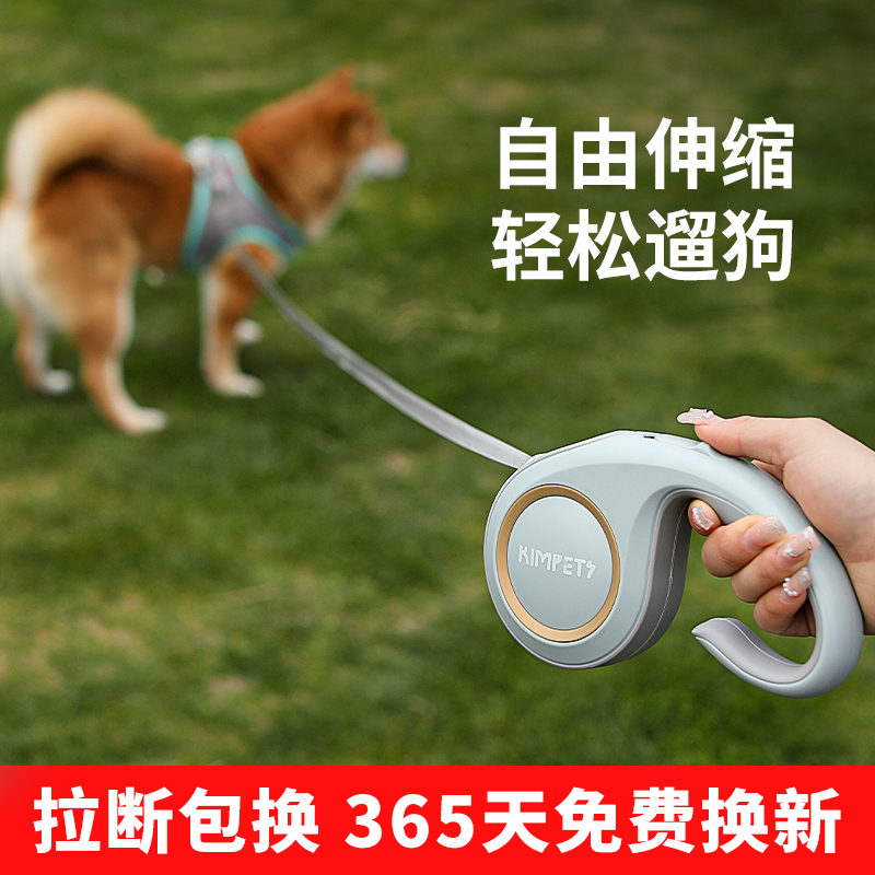 宠物狗小型犬