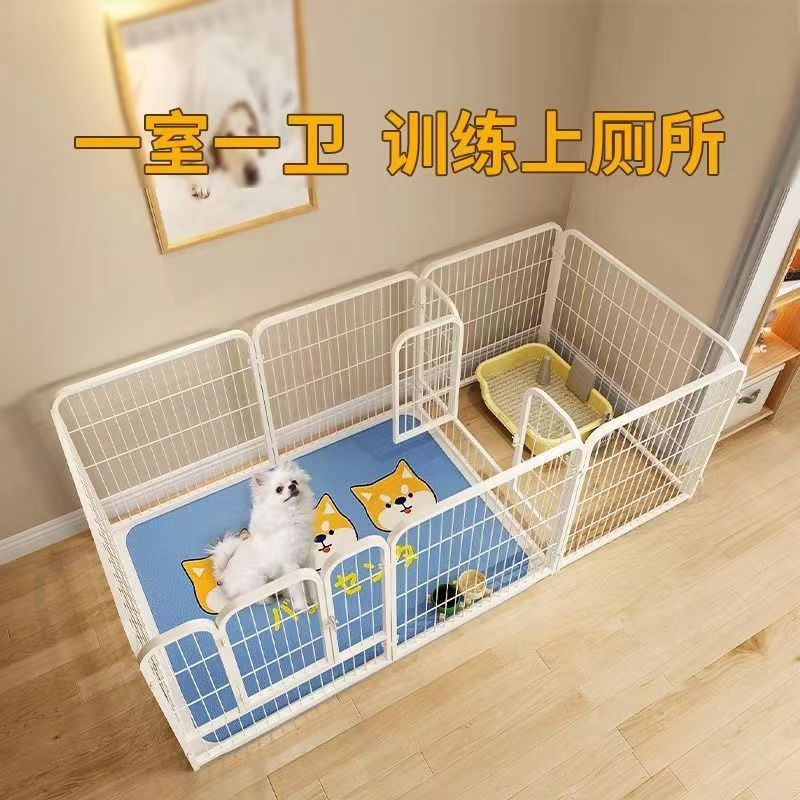 宠物狗小型犬