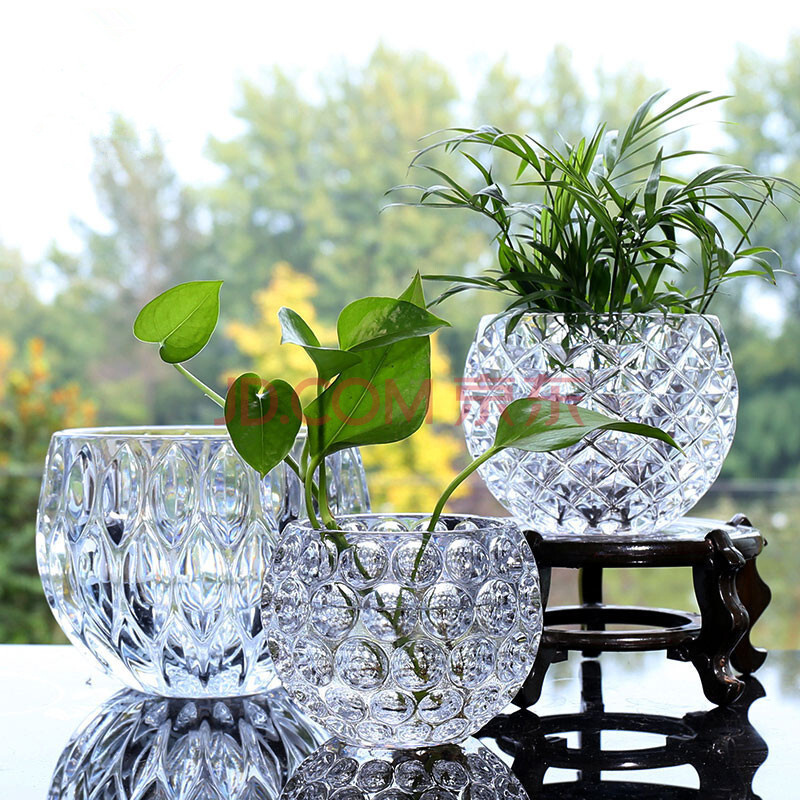 水培植物玻璃花瓶加厚