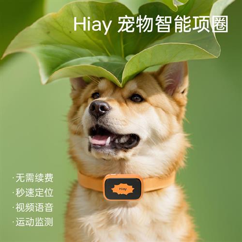 智能手表带摄像头