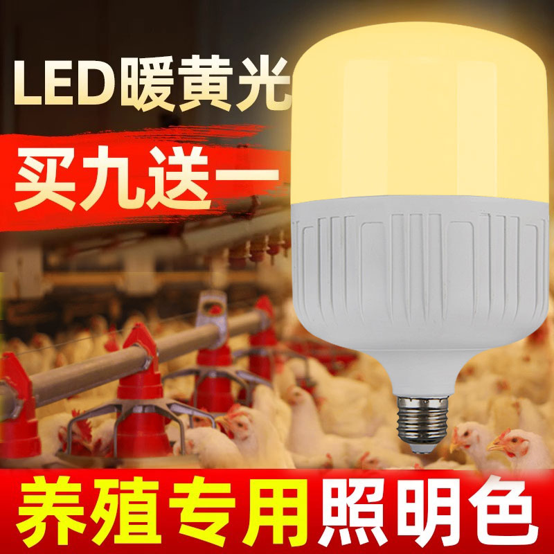 led球泡灯暖光