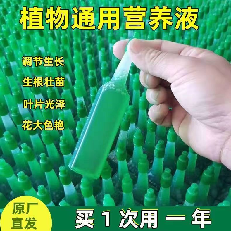 水培富贵竹专用营养液