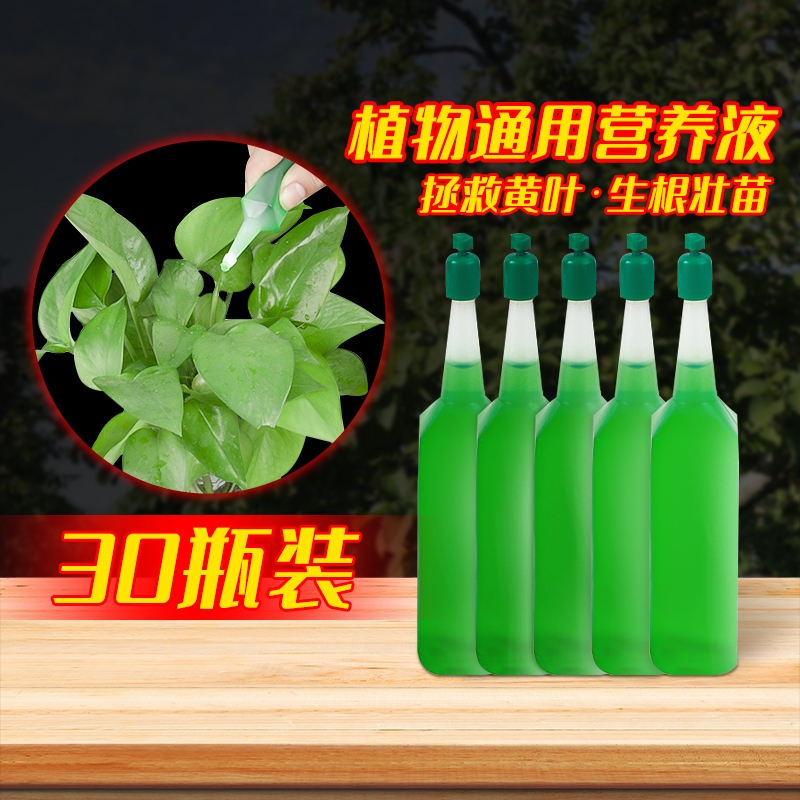 水培植物营养液通用型