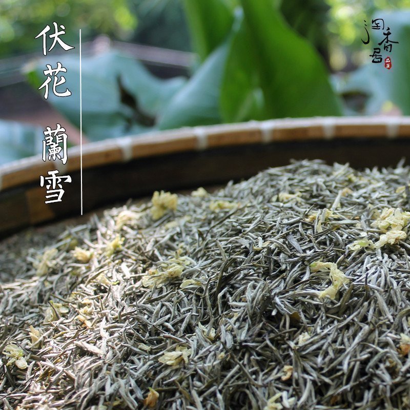 四川茉莉花茶特级飘雪