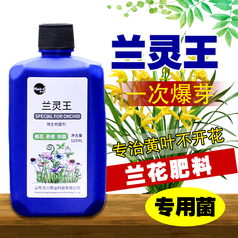 蝴蝶兰花专用肥料