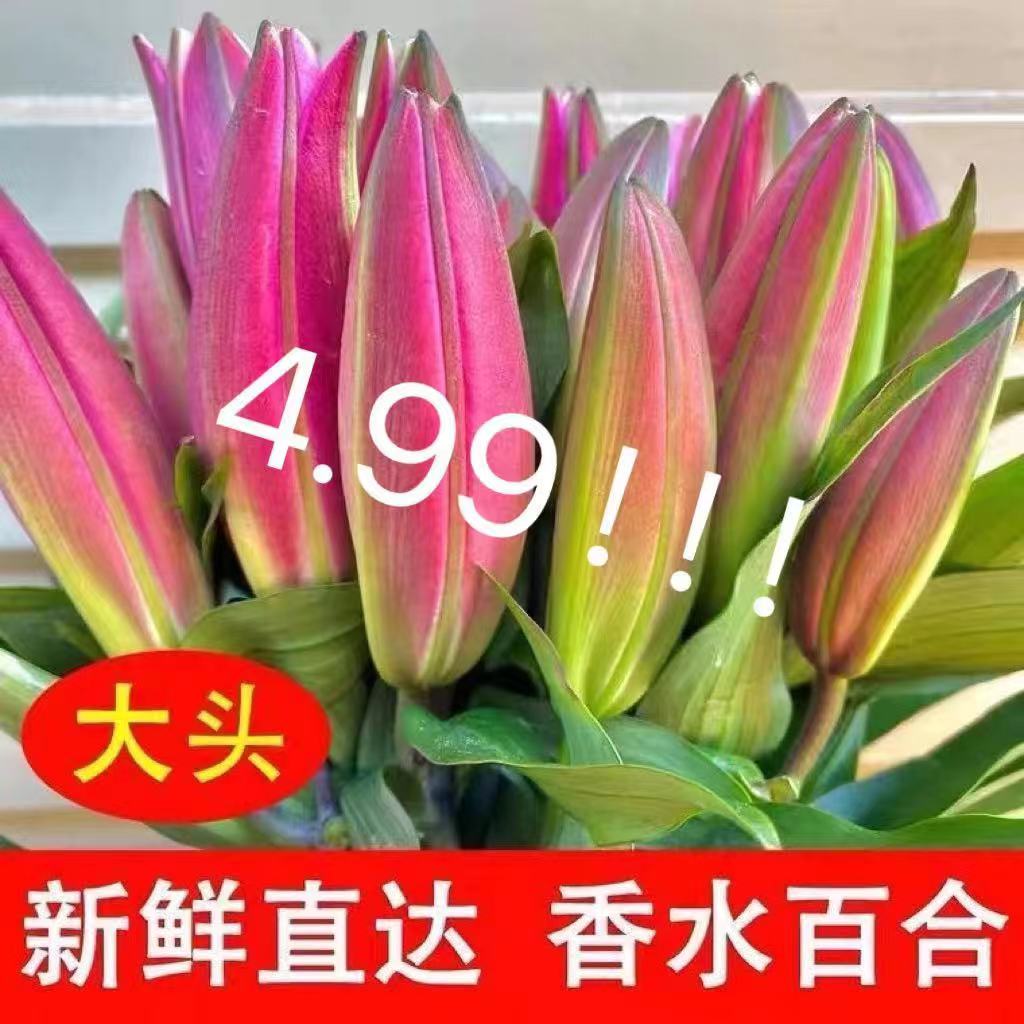 鲜花云南昆明基地直发