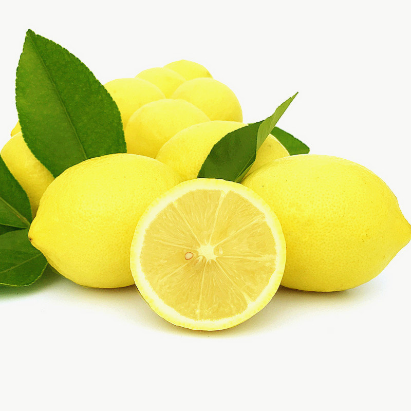 柠檬新鲜小果