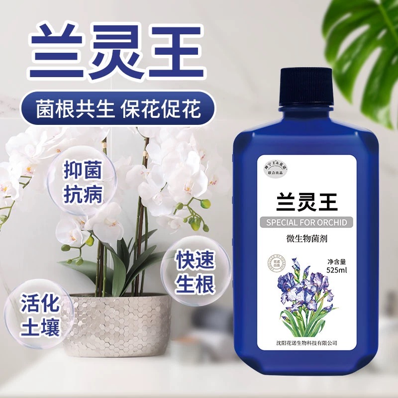 水培植物浓缩营养液