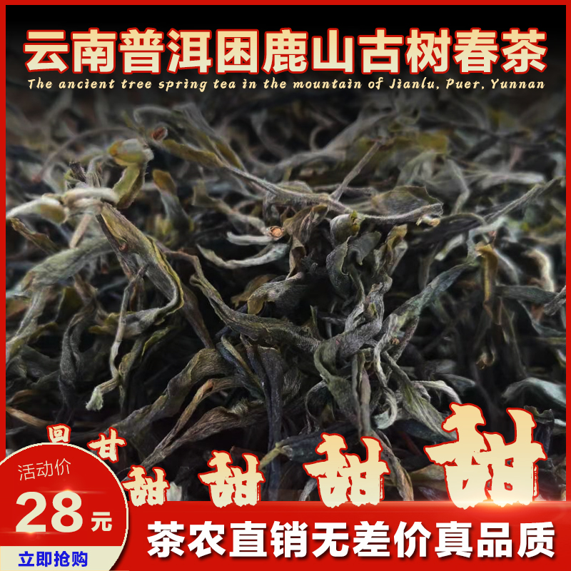 古树普洱茶生茶散茶