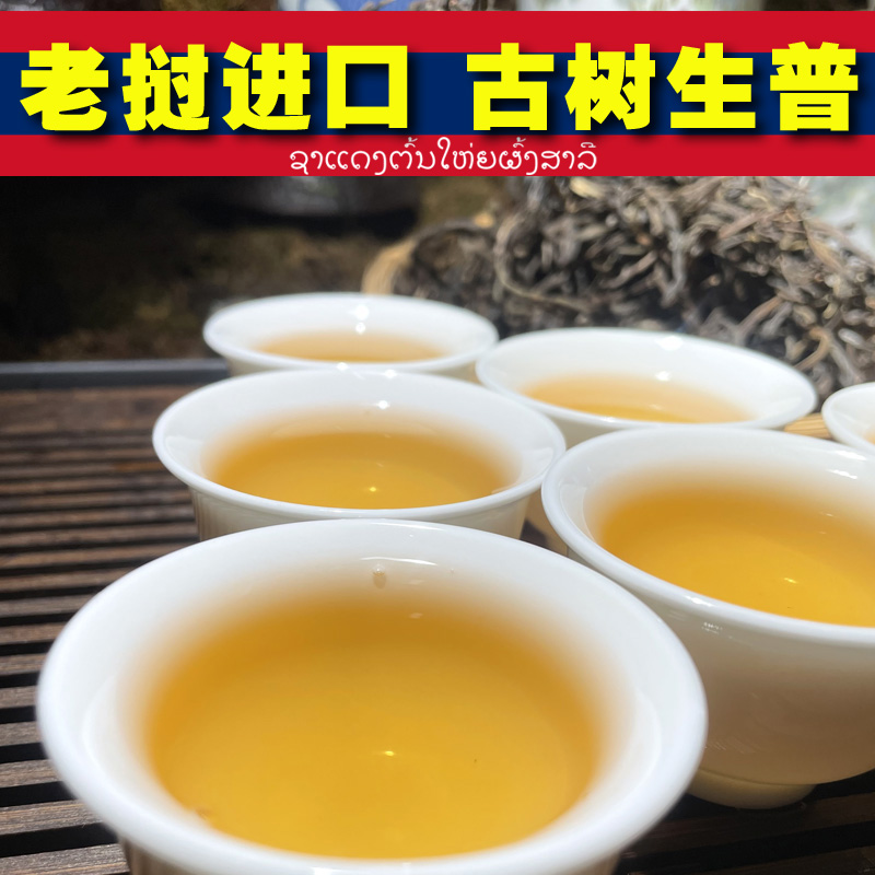 古树普洱茶生茶散茶