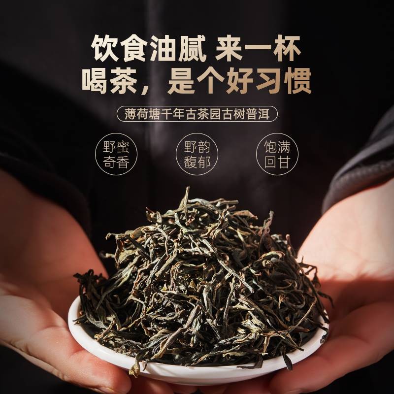 古树普洱茶生茶散茶