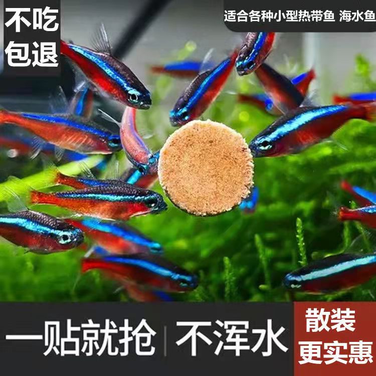 孔雀鱼饲料丰年虾