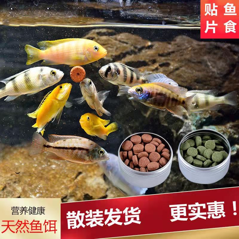 孔雀鱼贴片鱼粮