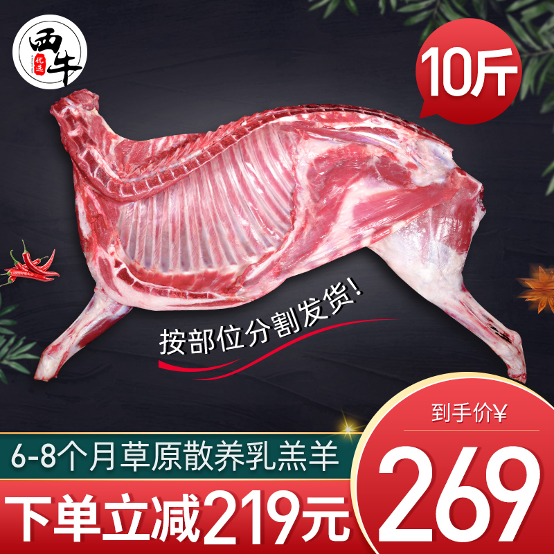 羊肉新鲜羊排