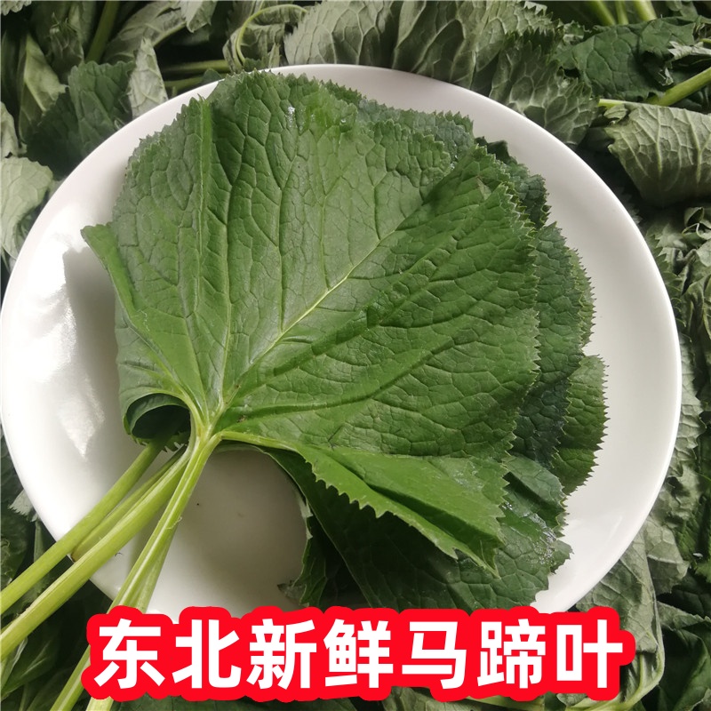 东北特产野菜